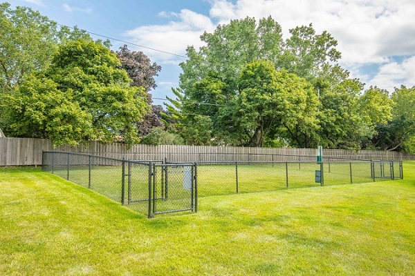 Fenced-In Dog Park